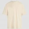 Hudson Jeans Barnes Tee 2 Hudson Jeans Barnes Tee